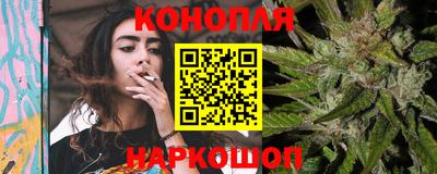 гидропоника Партизанск