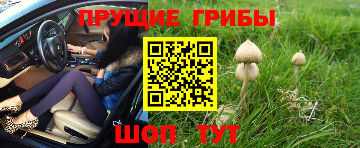 Скопин  Псилоцибиновые грибы прущие грибы  Вход с VPN  Галлюциногенные грибы прущие грибы 